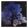 Night Tree 24 x 24"
